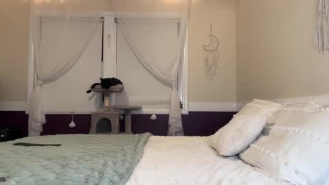 Lola 3 online show from December 17, 2024, 3:28 am