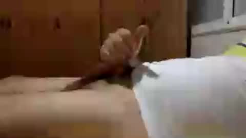 Handsome Cock online show from July 30, 2026, 10:53 pm