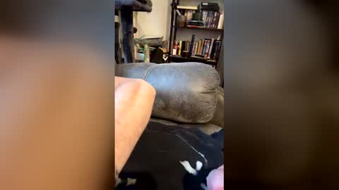 longhairhunky online show from March 7, 2026, 11:35 pm
