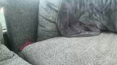 longjohnson94435702 online show from March 2, 2025, 7:54 am