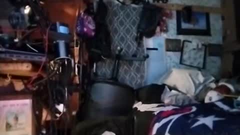 Mr. FogoDeChao online show from March 11, 2026, 11:38 am