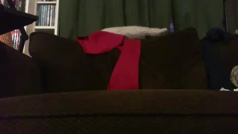 longlorne online show from November 18, 2025, 4:28 am