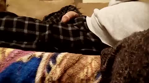 Snapshot of looking4bush chatting on December 3, 2024, 7:21 am looking4bush online show from December 3, 2024, 7:21 am