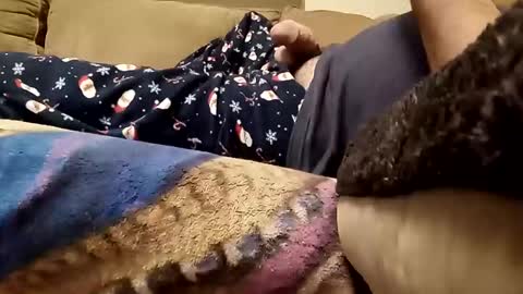 Snapshot of looking4bush chatting on December 23, 2025, 2:42 am looking4bush online show from December 23, 2025, 2:42 am