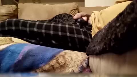 Snapshot of looking4bush chatting on January 13, 2026, 3:34 am looking4bush online show from January 13, 2026, 3:34 am