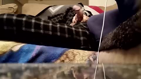 Snapshot of looking4bush chatting on March 18, 2026, 1:09 am looking4bush online show from March 18, 2026, 1:09 am