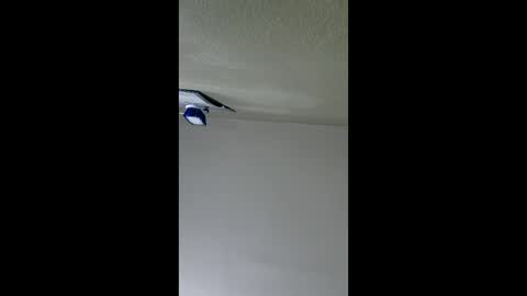 2791 3D online show from January 8, 2026, 5:10 am