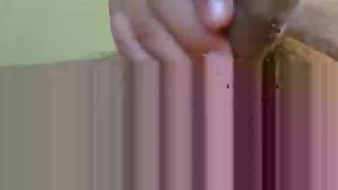 2791 3D online show from February 12, 2026, 5:35 am