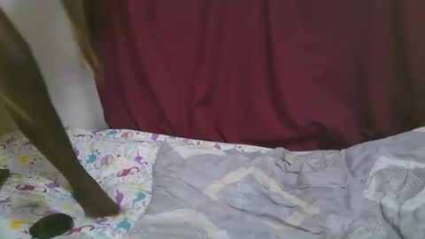 lora_amor online show from September 29, 2025, 7:02 am