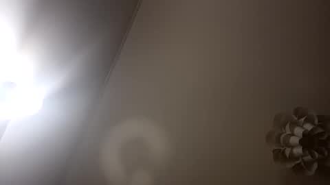 Snapshot of loraflame chatting on January 5, 2025, 6:56 pm Lora online show from January 5, 2025, 6:56 pm