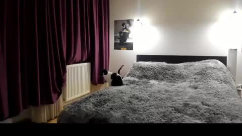 Snapshot of loraflame chatting on February 21, 2025, 5:53 pm Lora online show from February 21, 2025, 5:53 pm