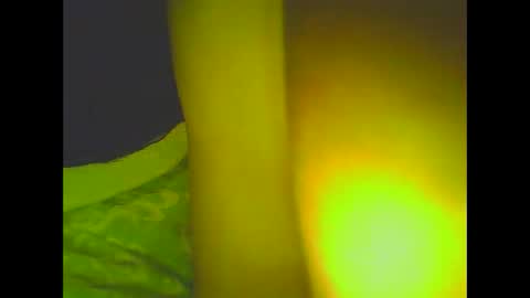 Snapshot of love5pu55y chatting on March 6, 2025, 8:30 am PleasureX online show from March 6, 2025, 8:30 am