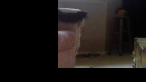 love69bush online show from February 4, 2026, 6:30 am