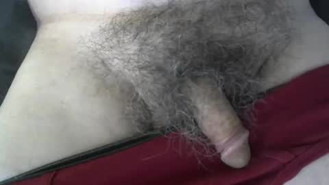 loveabush49 online show from September 26, 2025, 8:57 pm