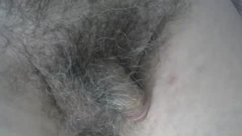 loveabush49 online show from November 5, 2025, 8:53 pm