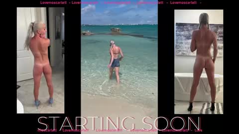 Snapshot of lovemoscarlett chatting on January 18, 2025, 4:42 pm Scarlett online show from January 18, 2025, 4:42 pm