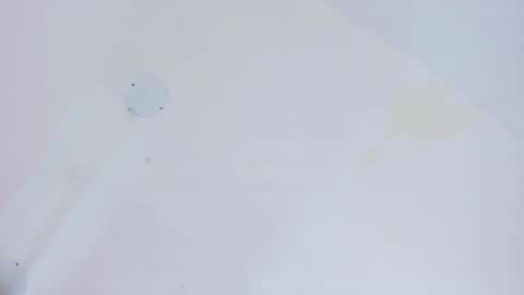 L O V E  online show from February 5, 2026, 11:59 am