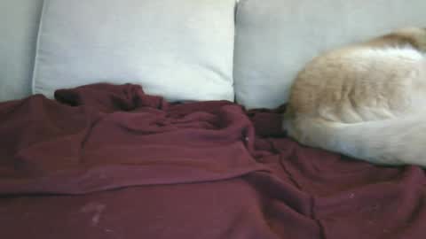 lowhangingfruit93 online show from January 26, 2025, 3:48 am