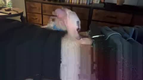 Snapshot of lubthemtitties chatting on December 22, 2024, 8:49 am lubthemtitties online show from December 22, 2024, 8:49 am