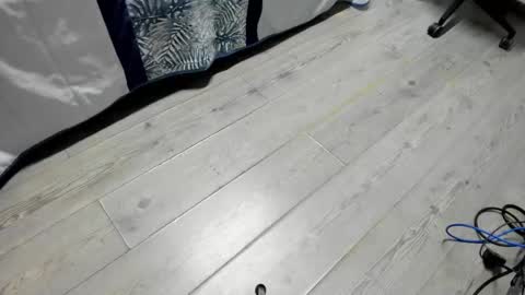 Snapshot of luca_morettii chatting on October 16, 2025, 12:06 pm luca_morettii online show from October 16, 2025, 12:06 pm