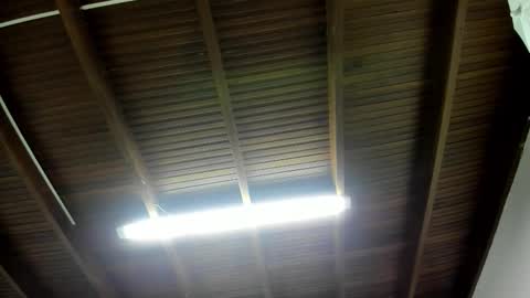 Snapshot of luca_morettii chatting on November 5, 2025, 12:16 pm luca_morettii online show from November 5, 2025, 12:16 pm