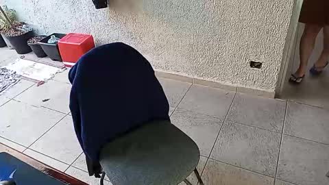 lucifer_curious online show from October 24, 2025, 9:49 am