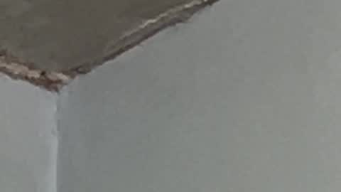 Snapshot of lucifermorningstar94 chatting on September 17, 2025, 2:57 am Lucien online show from September 17, 2025, 2:57 am