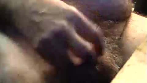 Snapshot of lukestarfckr chatting on September 11, 2025, 9:20 am lukestarfckr online show from September 11, 2025, 9:20 am