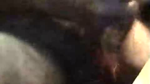 Snapshot of lukestarfckr chatting on November 18, 2025, 5:34 am lukestarfckr online show from November 18, 2025, 5:34 am