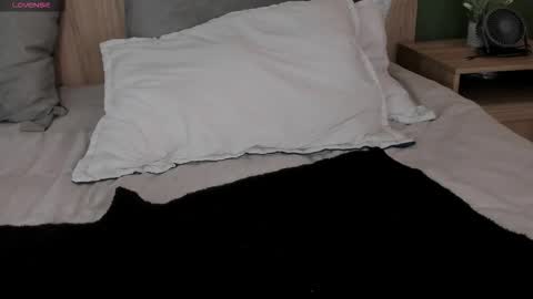 luna online show from November 20, 2025, 1:22 pm