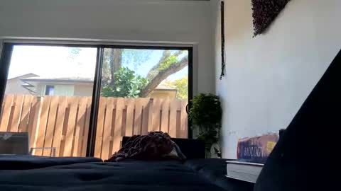 lunaloopzz online show from March 11, 2026, 5:52 pm