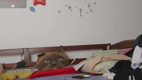 LUNA online show from November 12, 2025, 6:41 pm