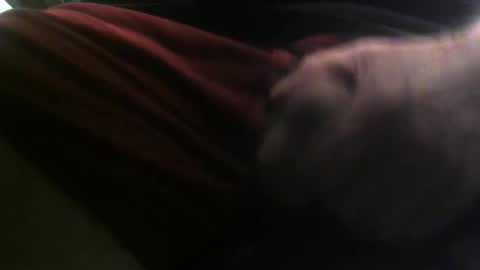 lunatica12 online show from February 23, 2025, 6:17 am