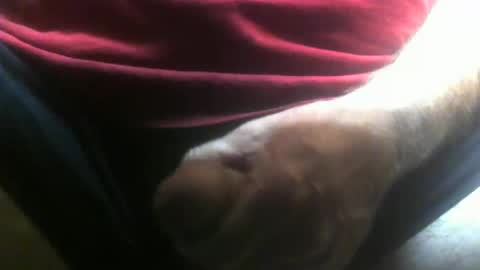 lunatica12 online show from February 10, 2026, 4:27 am