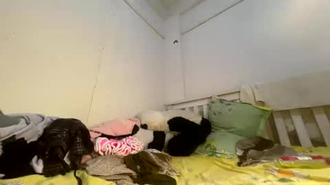 Luscious nita online show from April 3, 2026, 7:50 am