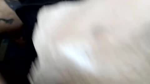 lust_khali online show from February 1, 2026, 12:37 pm