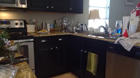 lustersp1ce online show from December 6, 2024, 6:06 pm