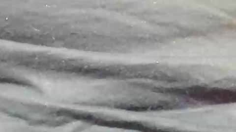 lustgardener67 online show from January 9, 2025, 11:24 pm