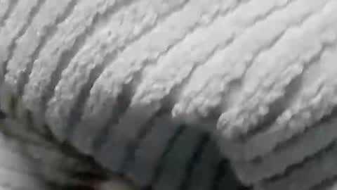 lustgardener67 online show from January 19, 2025, 7:15 am