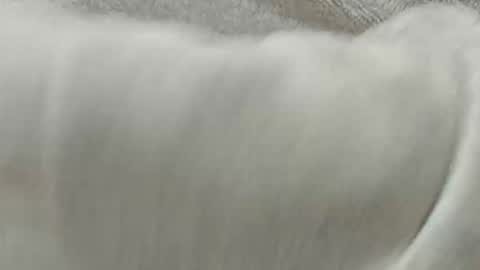 lustgardener67 online show from November 8, 2025, 2:28 pm