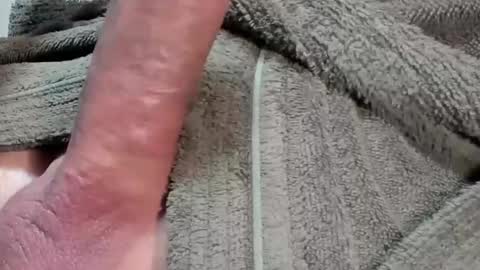 lustgardener67 online show from February 3, 2026, 7:46 am