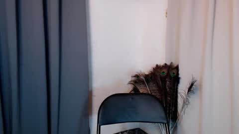 Snapshot of lustyseraphina chatting on February 20, 2026, 6:52 pm lustyseraphina online show from February 20, 2026, 6:52 pm