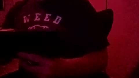 Snapshot of luv2toknstrok chatting on November 3, 2025, 10:49 am Luv2tokNstrok online show from November 3, 2025, 10:49 am