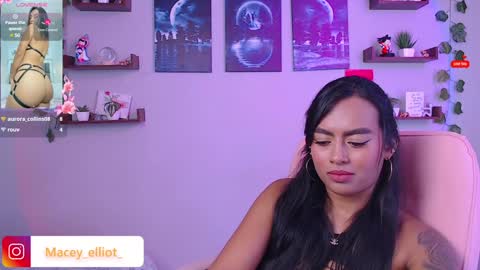 Snapshot of macey_hairy chatting on February 6, 2025, 3:31 pm Macey Elliot Modelo Independiente online show from February 6, 2025, 3:31 pm
