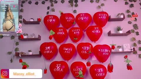 Snapshot of macey_hairy chatting on February 15, 2025, 2:55 pm Macey Elliot Modelo Independiente online show from February 15, 2025, 2:55 pm