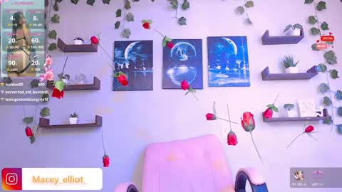 Snapshot of macey_hairy chatting on February 26, 2025, 7:16 pm Macey Elliot Modelo Independiente online show from February 26, 2025, 7:16 pm