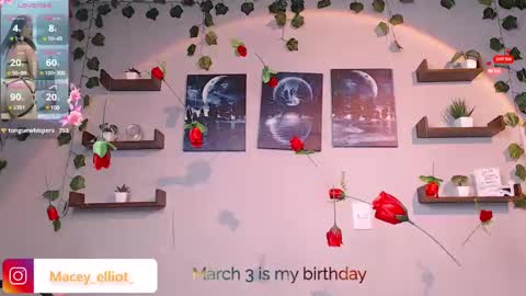 Snapshot of macey_hairy chatting on February 28, 2025, 12:43 am Macey Elliot Modelo Independiente online show from February 28, 2025, 12:43 am