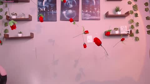 Snapshot of macey_hairy chatting on March 1, 2025, 2:02 pm Macey Elliot Modelo Independiente online show from March 1, 2025, 2:02 pm