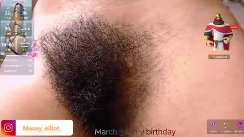 Snapshot of macey_hairy chatting on March 2, 2025, 11:42 pm Macey Elliot Modelo Independiente online show from March 2, 2025, 11:42 pm