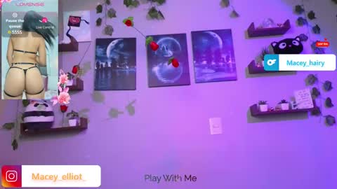 Snapshot of macey_hairy chatting on March 12, 2025, 9:35 pm Macey Elliot Modelo Independiente online show from March 12, 2025, 9:35 pm